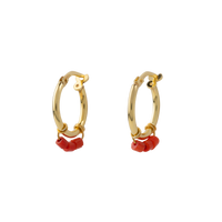 Oorbellen Spicy
